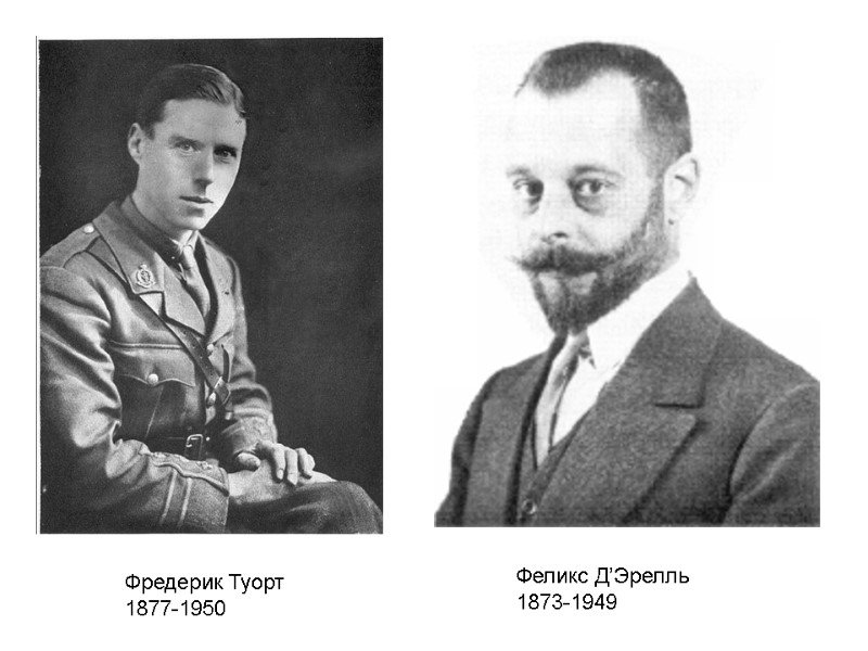 Фредерик Туорт 1877-1950 Феликс Д’Эрелль 1873-1949